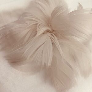 Petite Pale blush pinkish ivory Feather Fascinator Hair Clip, brooch pin